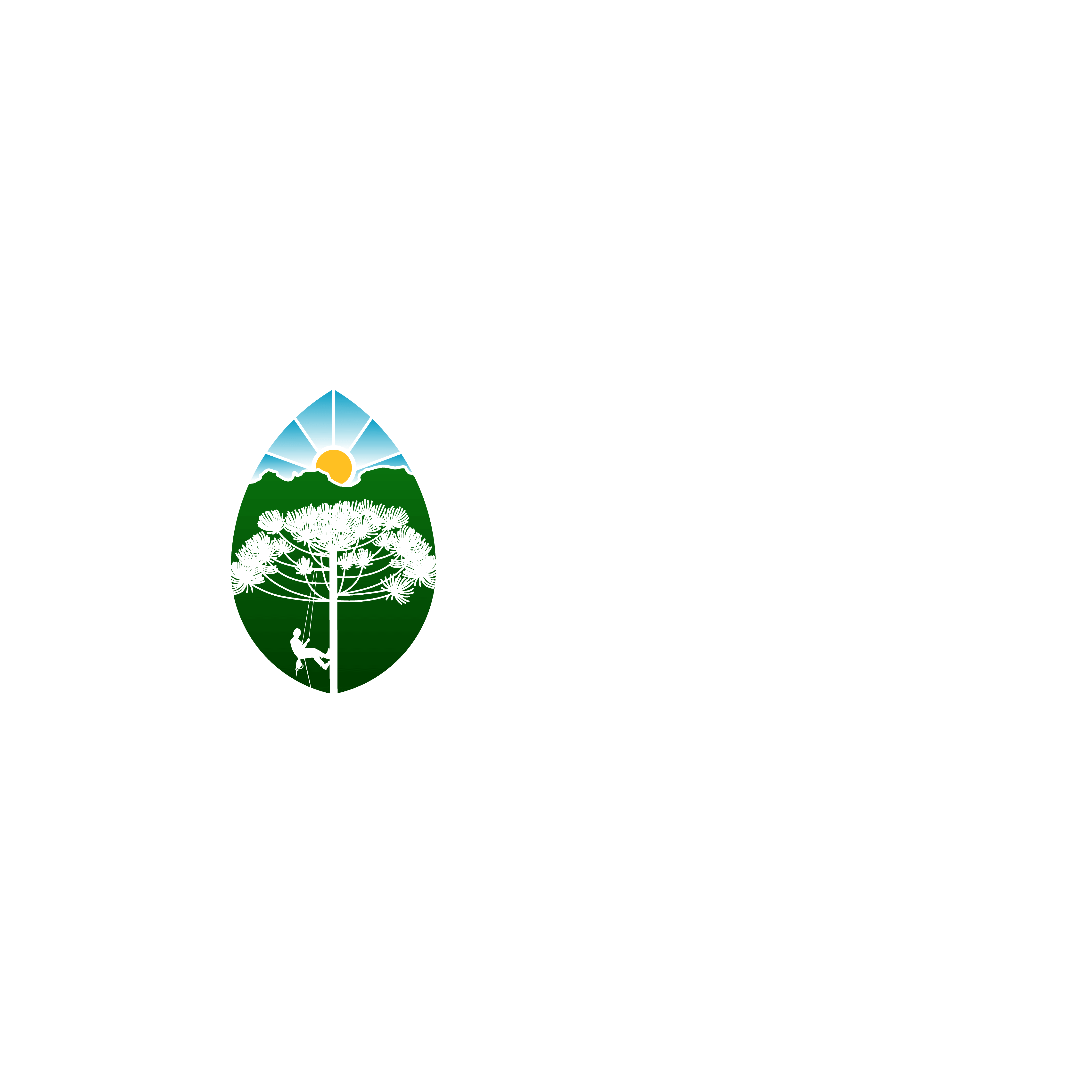 Logo Peabiru Arboriza