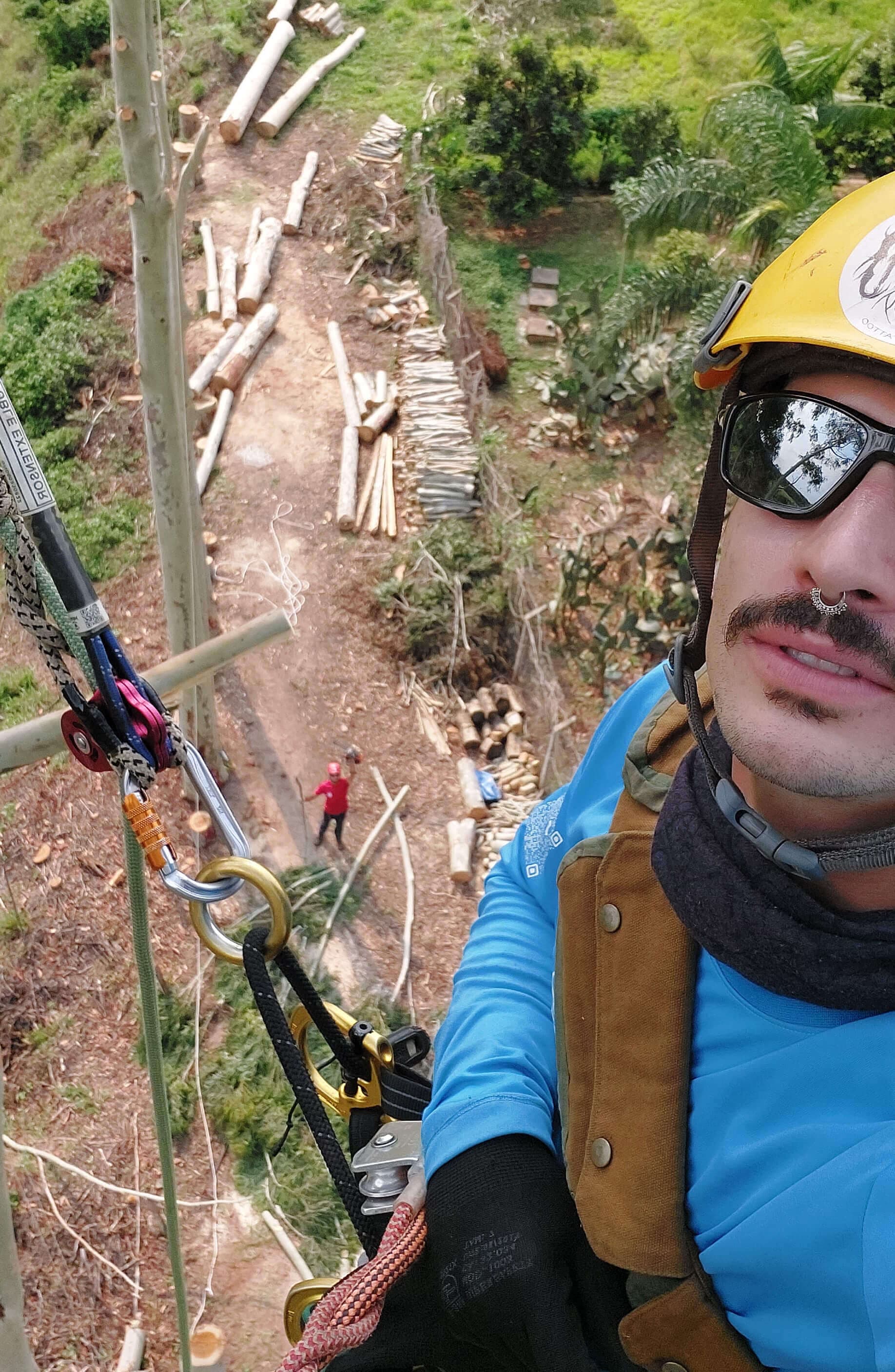 Serviços Peabiru Arboriza