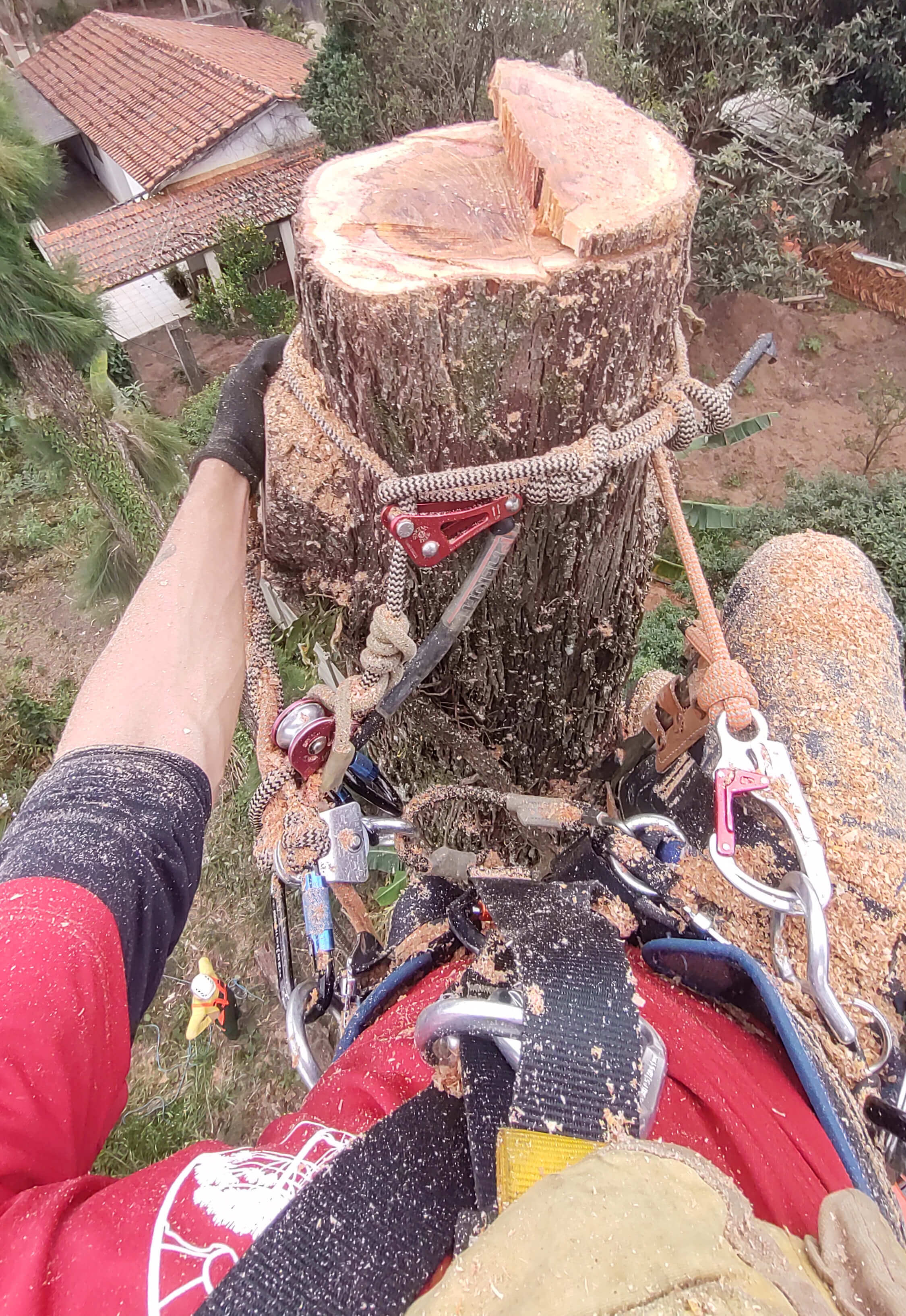 Serviços Peabiru Arboriza