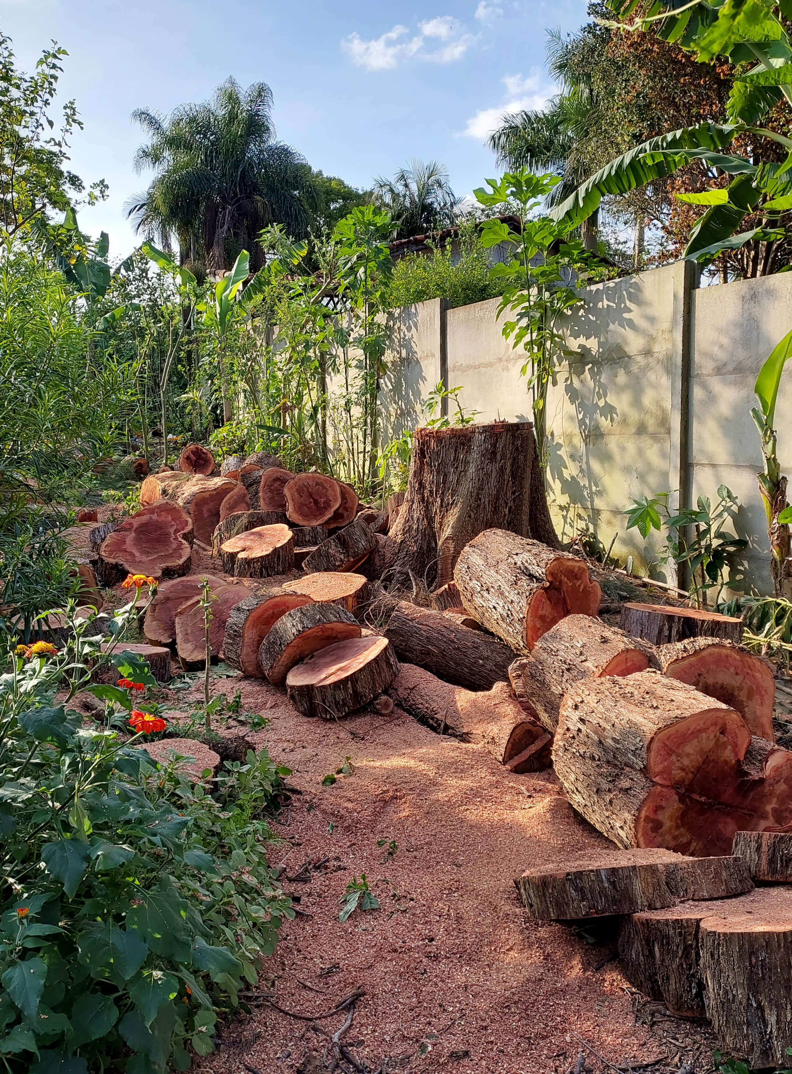 Serviços Peabiru Arboriza