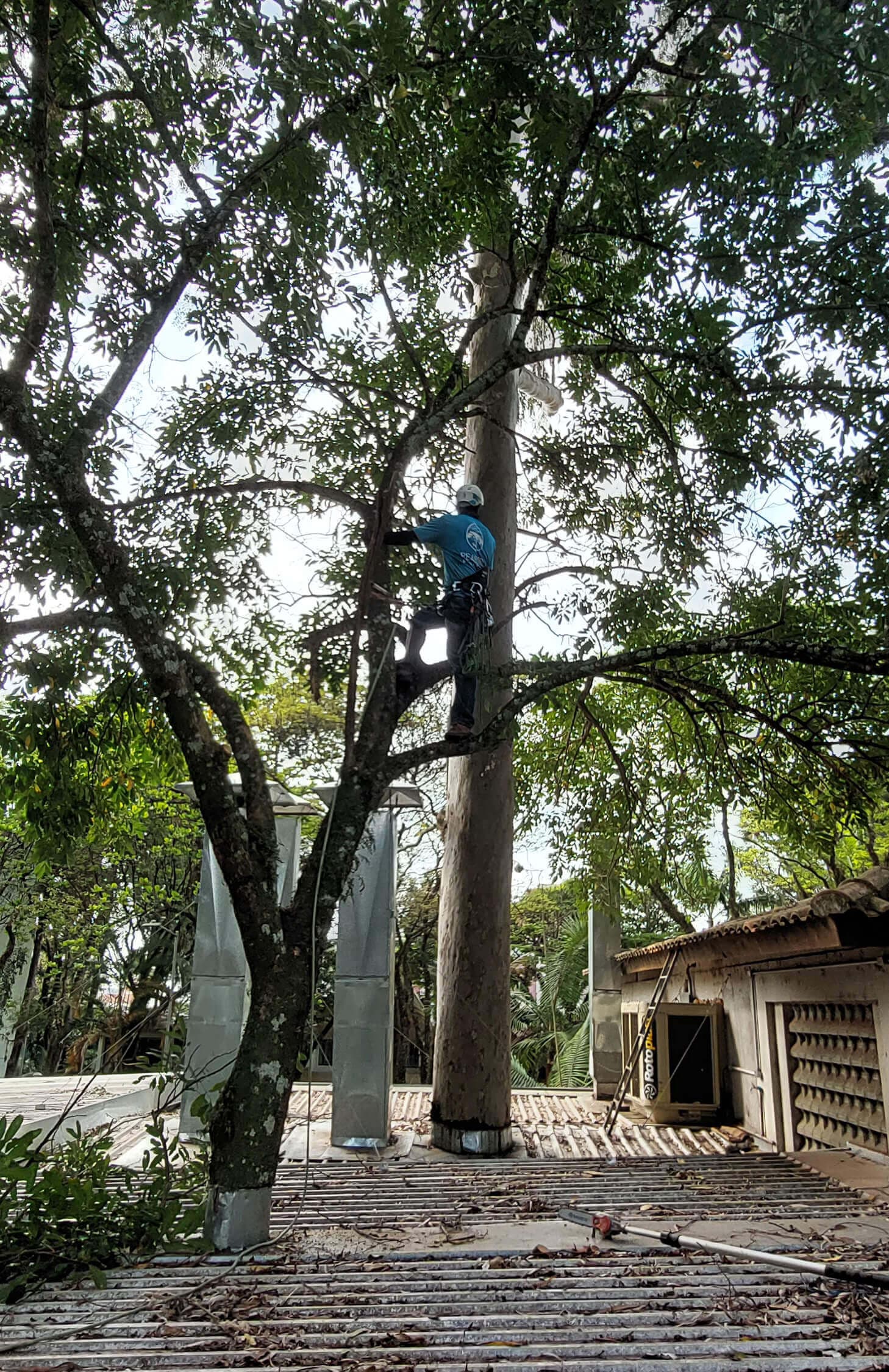 Serviços Peabiru Arboriza